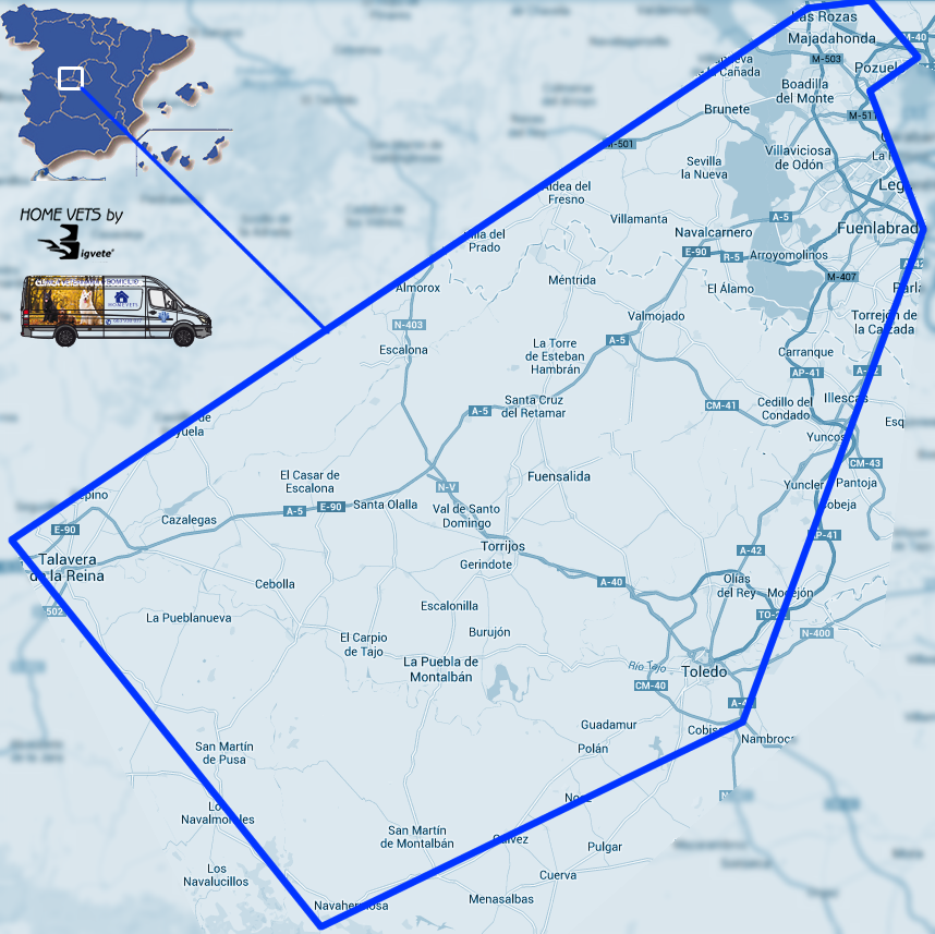 Vetarinario a mi casa